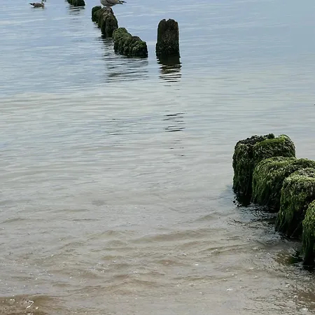 Hevenia Mistral Mrzeżyno