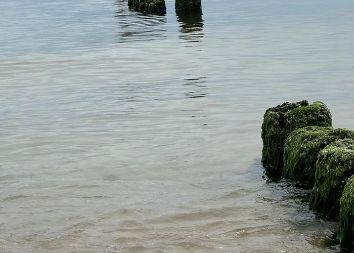 Hevenia Mistral מיצ'יצ'ניו